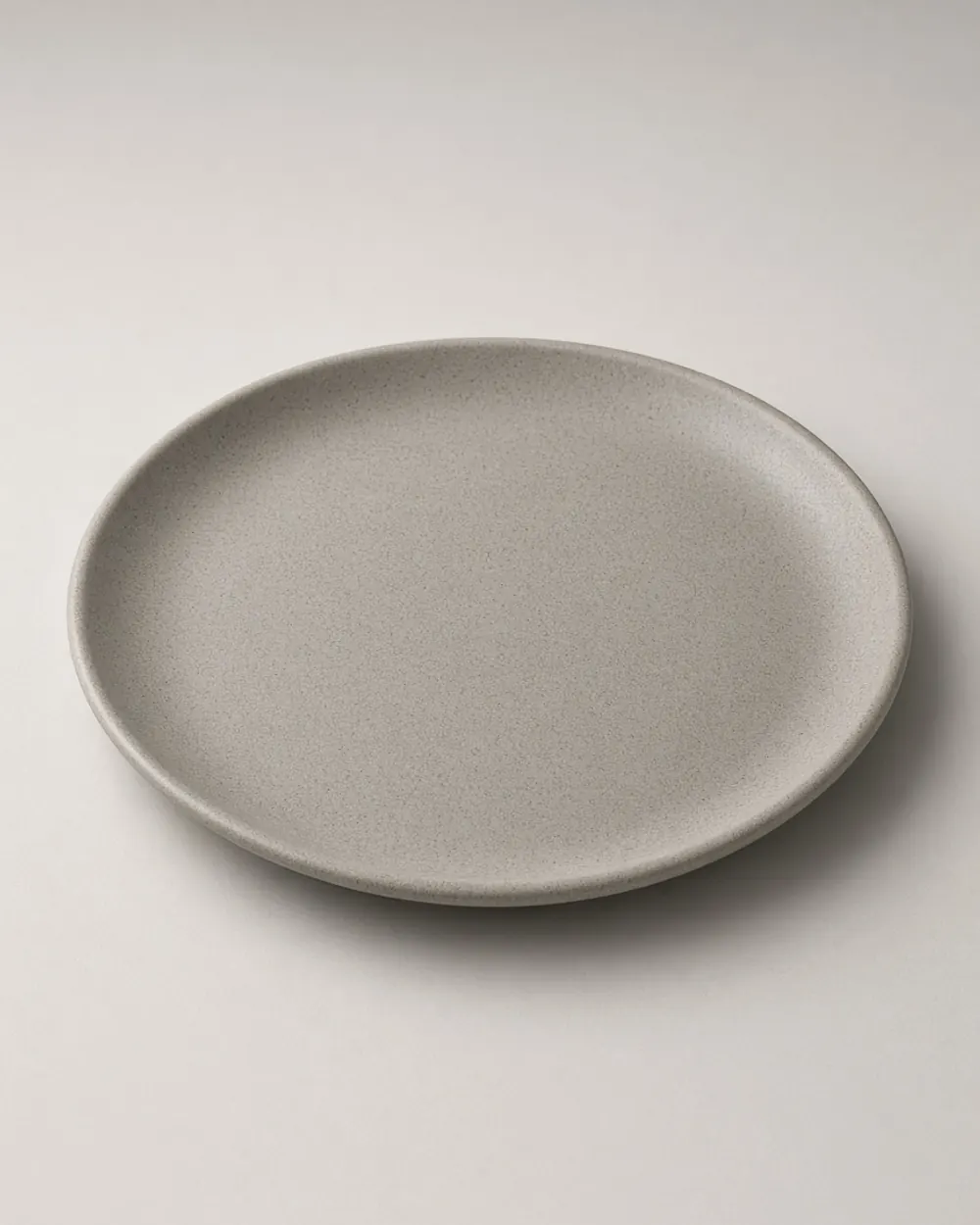 Silt Matte Dinner Plate